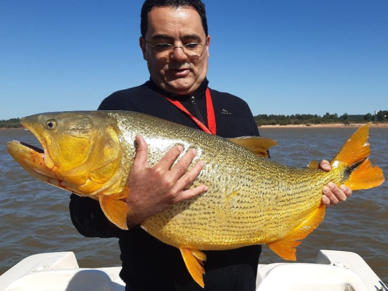 Pousada, Pesca, Dourado